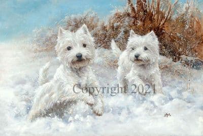Westie Pack of 10 Christmas Cards 'White Christmas' by Paul Doyle C639X