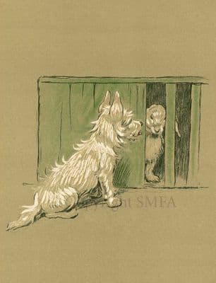 Westie Rabbit Blank Greetings Card 'Neighbours From Hell' by Cecil Aldin C295