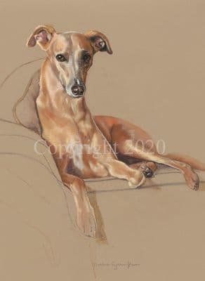 Whippet' Greetings Card by Debbie Gillingham