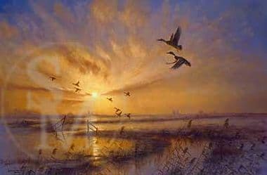 Wildfowl Blank Greetings Card 'Marsh Gateway' by Julian Novorol C224