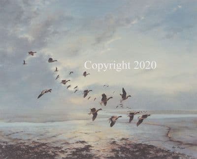 Wildfowl Limited Edition Print 'Pinkfeet Coming in under Caerlaverock' by Ian Phipps