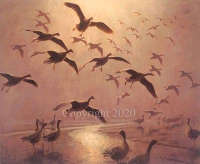 Wildfowling Limited Edition Print 'Pinkfeet Out of The Mist' by Julian Novorol