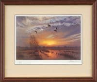 Wildfowling Limited Edition Print 'Widgeon at Sunset' by Julian Novorol