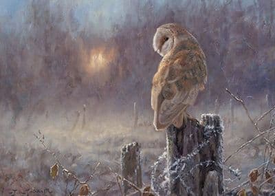 Wildlife Christmas Cards