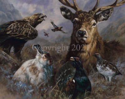 Wildlife Limited Edition Print 'A Scottish Overture' by John Trickett