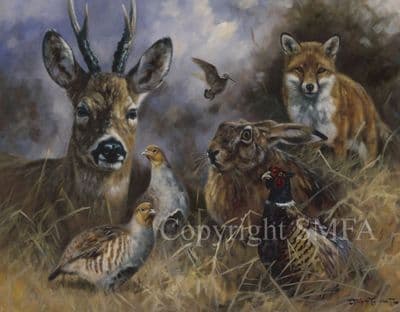 Wildlife Limited Edition Print 'England Forever' by John Trickett