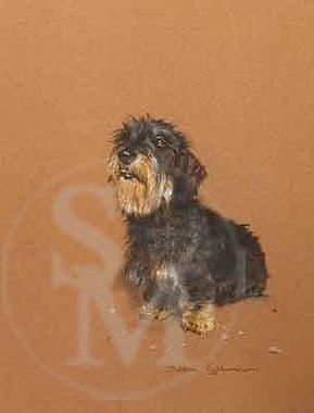 Wire Haired Dachshund Limited Edition Print 'More Please' by Debbie Gillingham