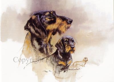 Wire Haired Dachshunds Blank Greetings Card 'Wire Haired Dachshunds' by Mick Cawston B143