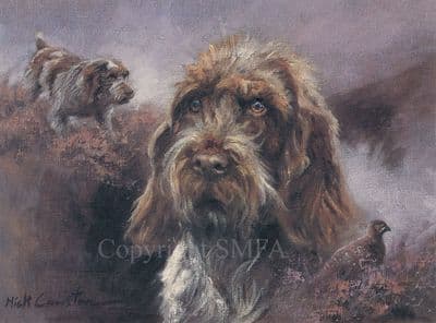 Wire Haired German Pointer Blank Greetings Card by Mick Cawston