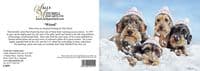 Wired' Pack of 10 Wire Haired Dachshund Christmas Cards by Paul Doyle