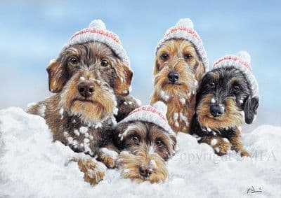 Wired' Pack of 10 Wire Haired Dachshund Christmas Cards by Paul Doyle