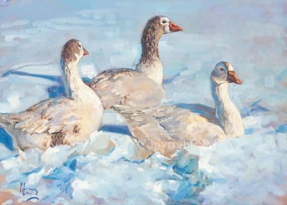 Wither Shall I Wander' Pack of x10 Goose Christmas Cards by Malcolm Coward