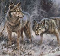 Wolf Print 'Winters Breath' by Mick Cawston