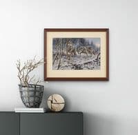 Wolf Print 'Winters Breath' by Mick Cawston