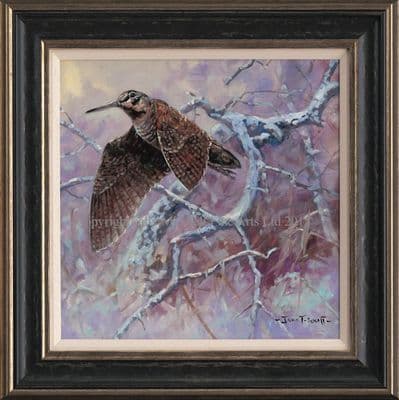 Woodcock Limited Edition Canvas Print  'Woodcock' by John Trickett