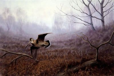 Woodcock Limited Edition Print 'Autumn Mist' by Julian Novorol