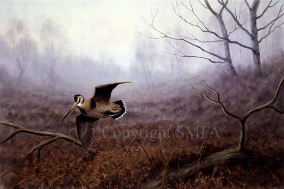 Woodcock Limited Edition Print 'Autumn Mist' by Julian Novorol
