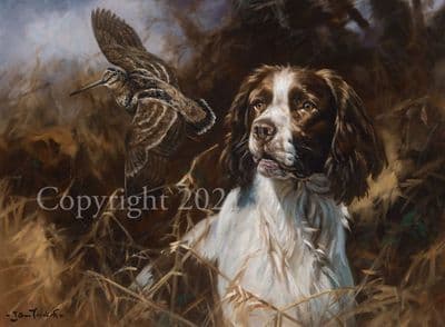 Woodcock Limited Edition Print 'Woodcock Flushed' by John Trickett