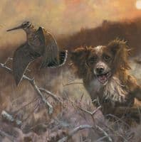 Working Chocolates' Cocker Spaniel Print by John Trickett