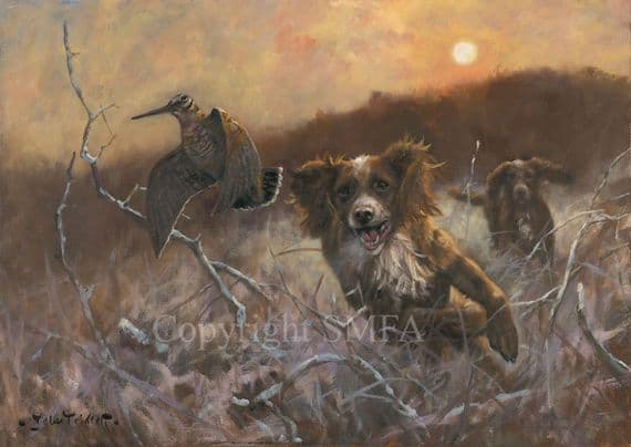 Working Chocolates' Cocker Spaniel Print by John Trickett