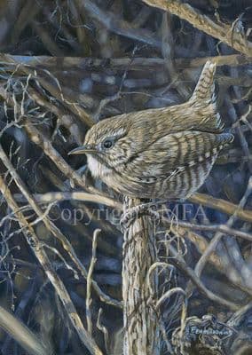 Wren Limited Edition Print 'The Thickett' by Ben Waddams