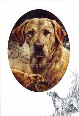 Yellow Labrador by Mick Cawston Blank Greetings Card CE10