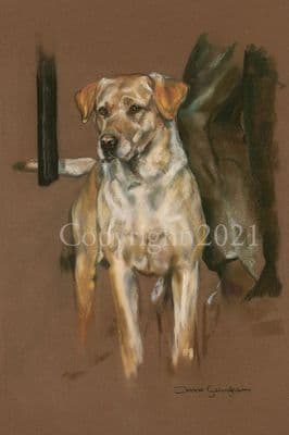 Yellow Labrador Limited Edition 'Ready for Anything' by Debbie Gillingham