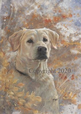 Yellow Labrador Original Painting 'Dream Boy'  by Paul Doyle