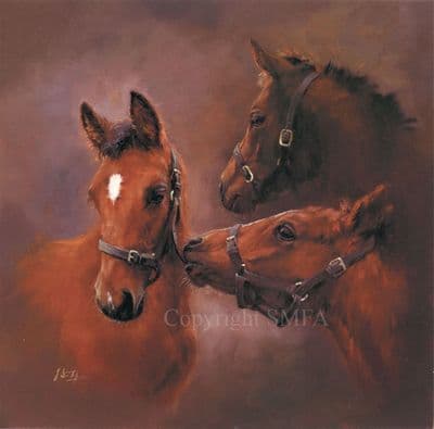 Youth' Limited edition Equestrian print by Jacqueline Stanhope