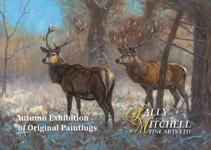 Sally Mitchell Fine Arts