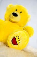 Mood Bears Happy Bear -  Large