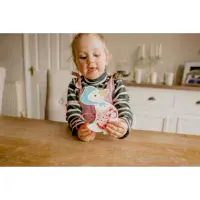 Orange Tree Toys Peter Rabbit  Stitching Kit