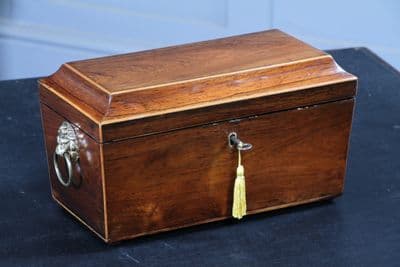 Antique Georgian Rosewood Sarcophagus Tea Caddy Lion Mask Handles Lockable C1820