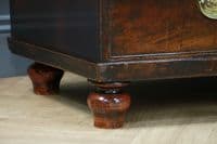 Antique Original Georgian Flame Grain Bow Front Mahogany Chest of 5 Drawers 1840