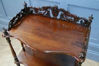 Rare Antique Late Georgian Solid Rosewood Carved 3 Tier What Not Display Shelf