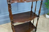 Rare Antique Late Georgian Solid Rosewood Carved 3 Tier What Not Display Shelf