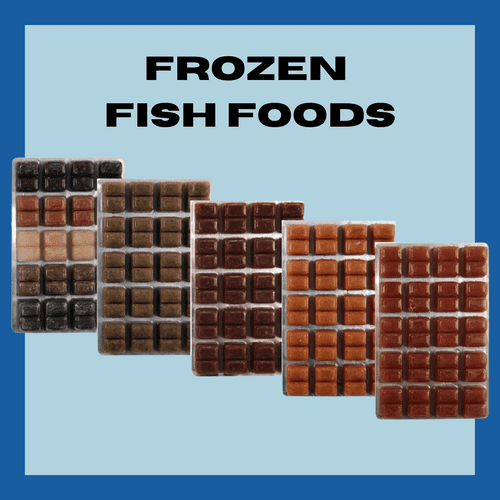 All Frozen Tropical/Coldwater/Marine Fish Food
