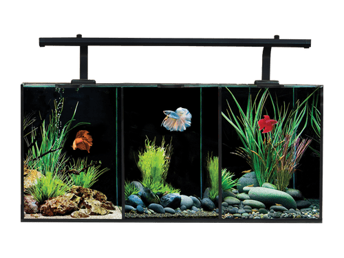 Aqua One Betta Trio Aquarium 3 in 1 Fish Tank 32L