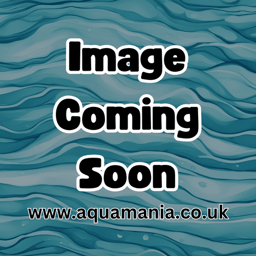 Aquadip Frozen Tropical Mix Fish Food - 500g (Bulk / Slab Pack)