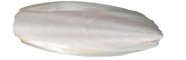 Aquamania Cuttlefish bone / cuttlebone Estimated 95-105g