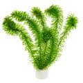 Aquamania Dragonfly 1000L - Wildlife Pond Kit Full / Complete Starter