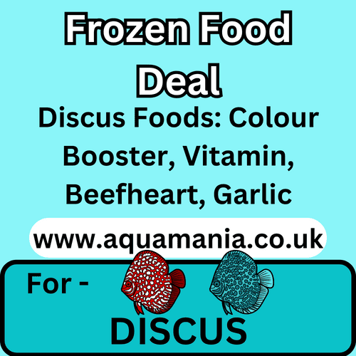Aquamania Freshwater Discus (Beef Heart) Frozen Mixed Food Deal