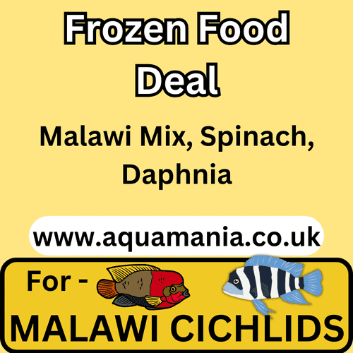 Aquamania Malawi Cichlid Frozen Mixed Food Deal