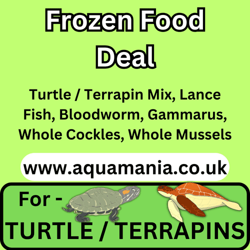 Aquamania Turtle and Terrapin Frozen Mixed Food Deal