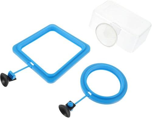 Aquarium Fish Feeding Ring / Square (Blue - 1 Pack)