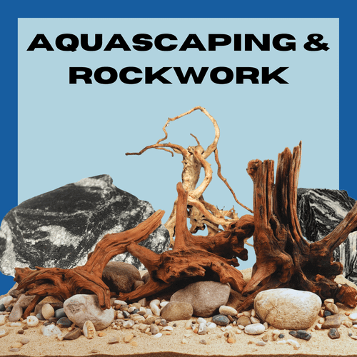 Aquascaping & Rock Work