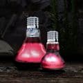 Arcadia Infrared Spot Bulb Reptile Light / Heat Bulb - Screw Fitting