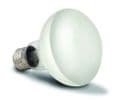 Arcadia Solar Flood Light Reptile Light / Heat Bulb - Screw Fitting