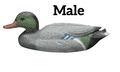 Bermuda Ducks Garden Ornaments (Range)