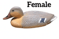 Bermuda Ducks Garden Ornaments (Range)